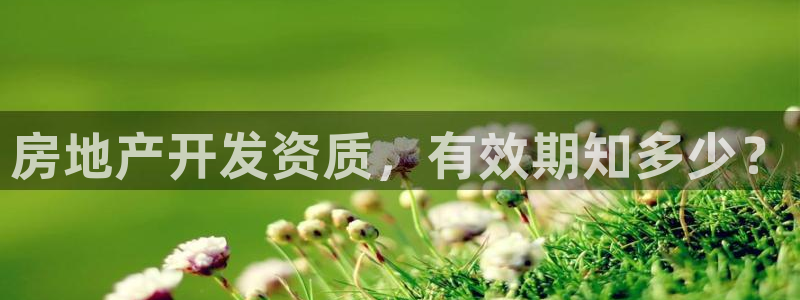 永利表行假货