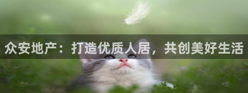 永利带业集团2020年的业绩状况