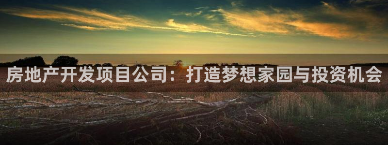 永利官网查询