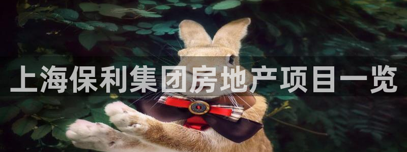 永利游乐城网址查询