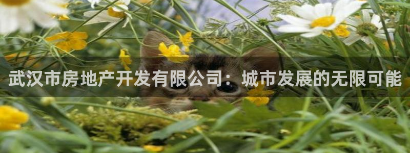 永利中国东北菜