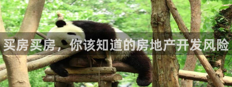 苏州金沙永利怎么样