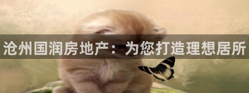 永利皮具厂东莞