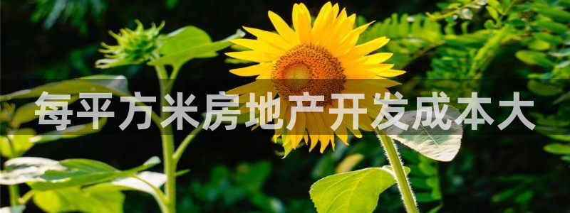 澳门永利是真的假的
