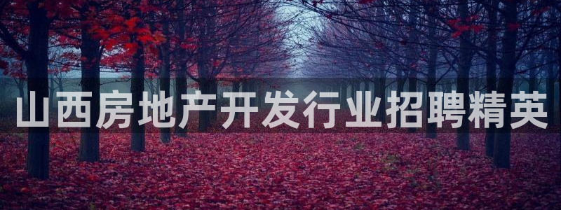 永利皇府黄立青个人资料