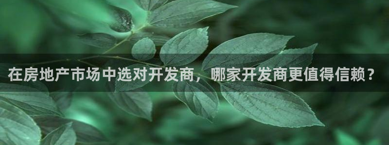 永利制带公司管理人员名单