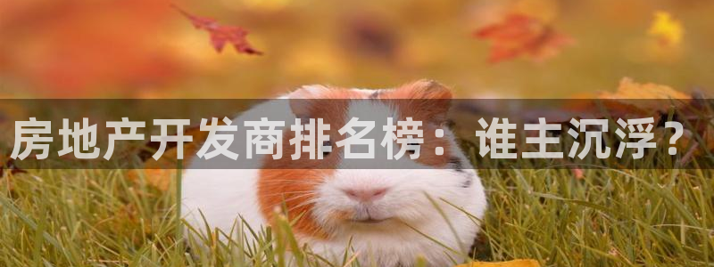 永利酒店管理有限公司