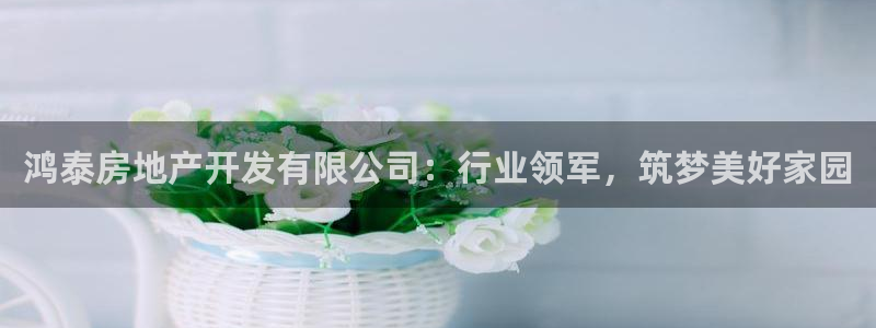 永利nev可靠吗