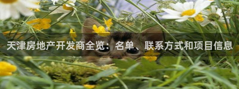 山东永利新材料