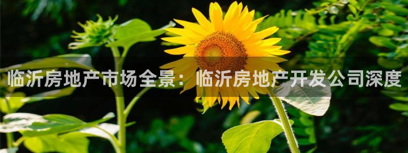 永利钱提不出来怎么办