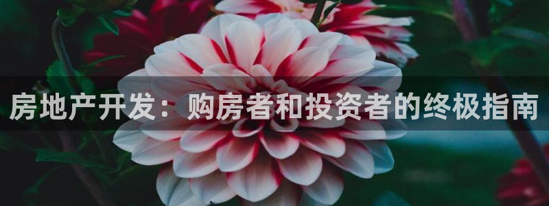 永利带钢