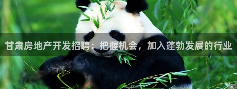 山东永利新材料