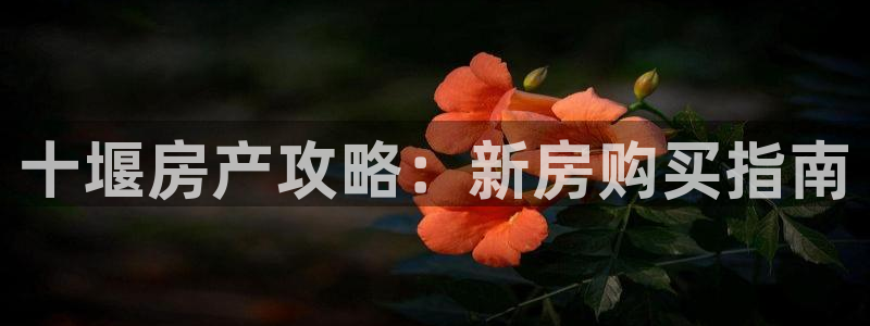 永利杯掼蛋比赛