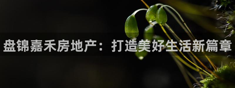 浙江永利集团董事长