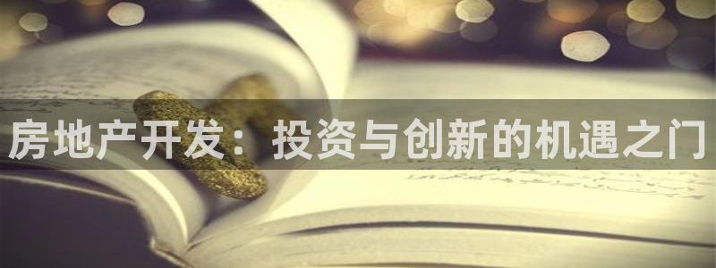 永利带业集团2020年的业绩状况