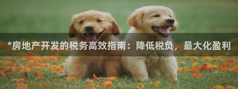 永利提不了款怎么办