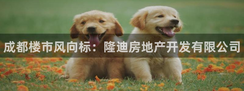永利饭店老板是谁