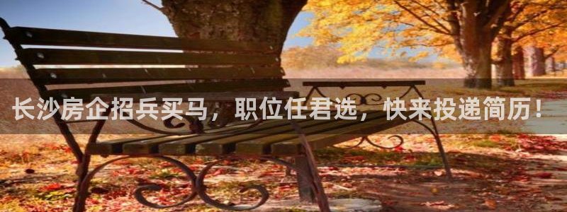 永利房地产有限公司怎么样