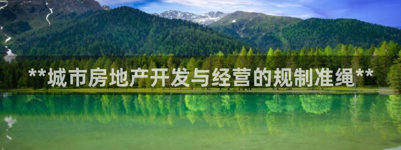 永利皮带型号说明书图片