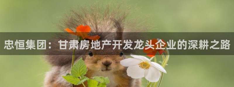 永利置业