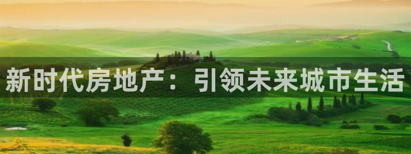 永利皮带官网价格查询