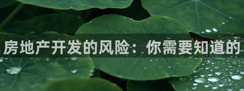 澳门 永利