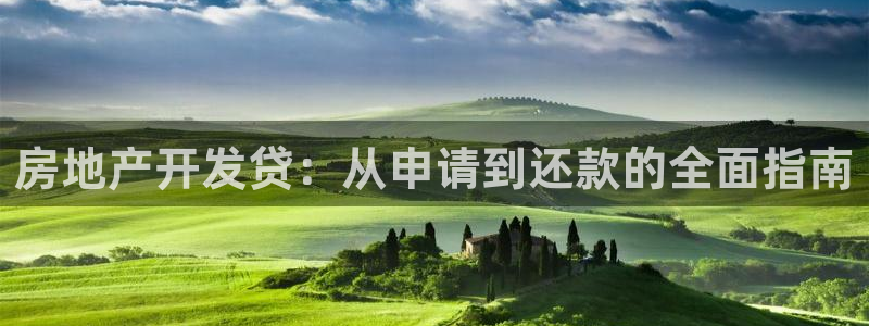 永利带业集团2020年的业绩状况