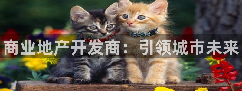 永利置业有限公司