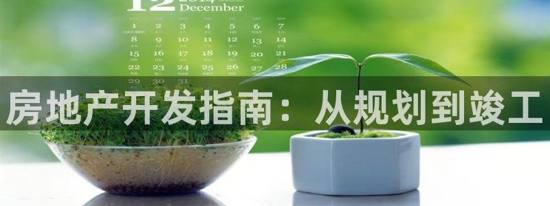 永利的老板是谁