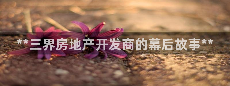 永利皮革
