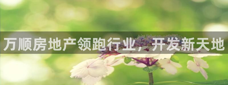 永利积分兑换