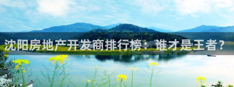 永利集团董事长