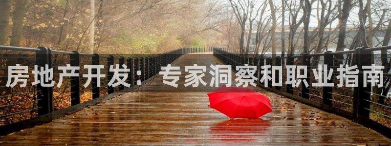 滨州永利篮球俱乐部老板