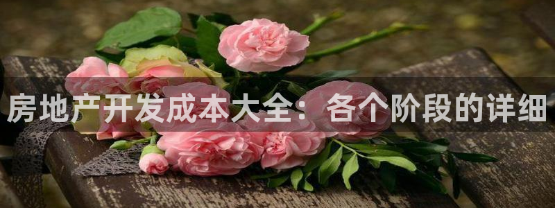 永利房地产开发有限公司总经理