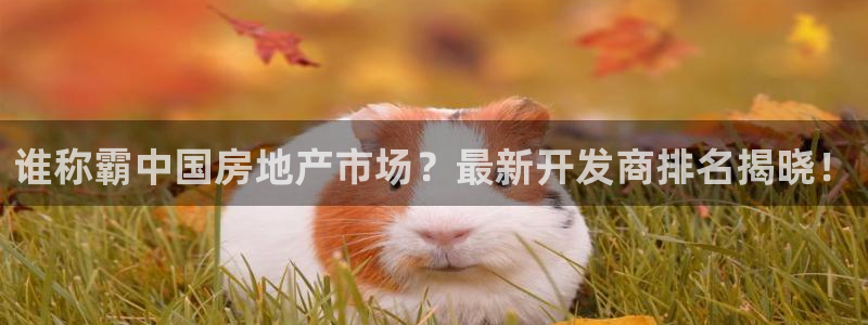 永利电影