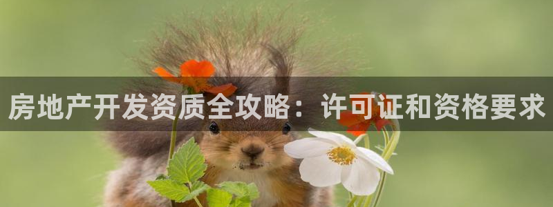 永利汇有什么服务