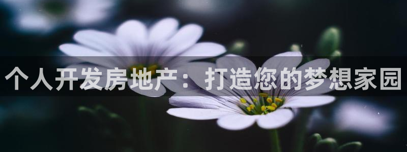永利网是受国家法律保护吗