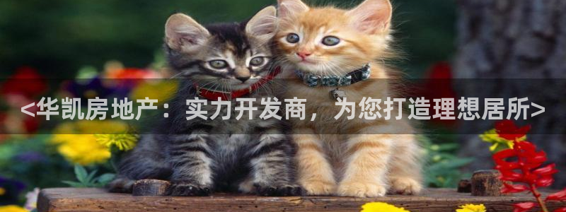 鄂州永利房地产怎么样