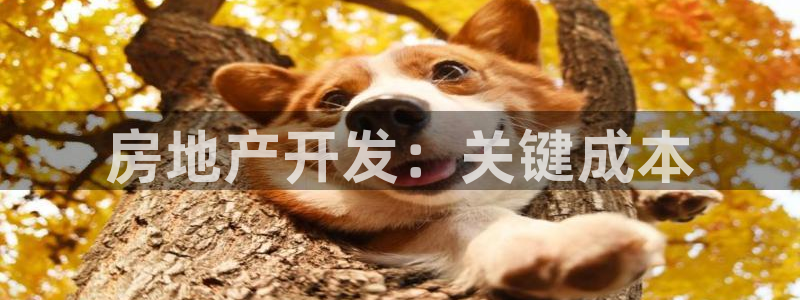 永利技术有限公司