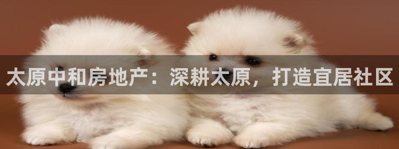 永利会员几个等级