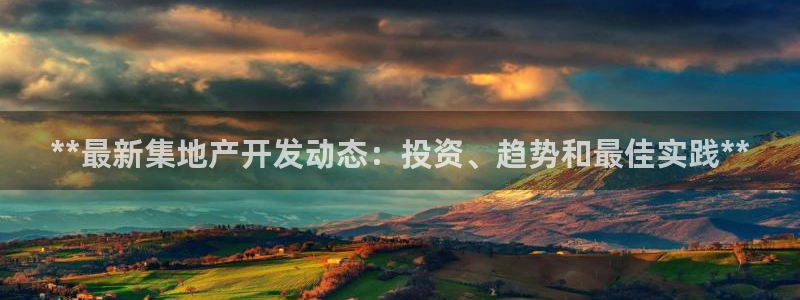 永利运动鞋是几几年出的