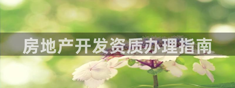 永利保险公司介绍