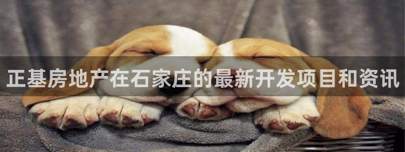 永利是做什么的