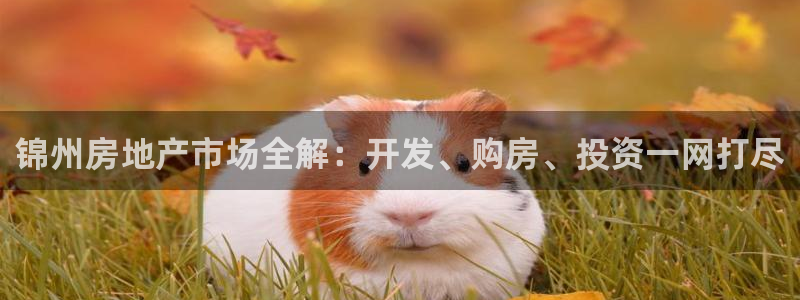 澳门永利集闭游误乐