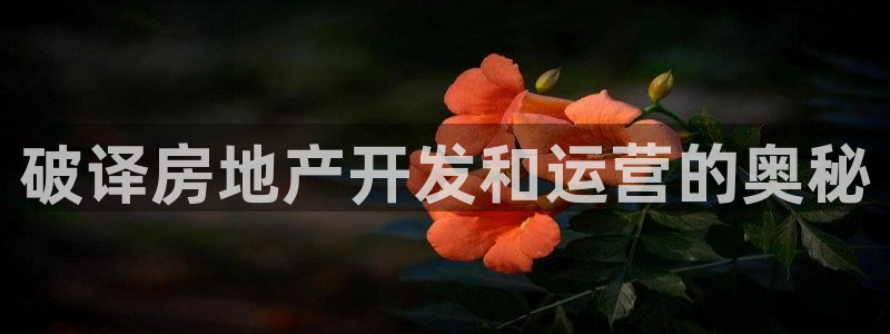 佛山王永利工业皮带有限公司