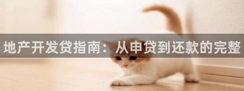 永利带业股票