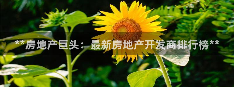 永利网9900777邀请码