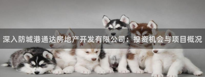 永利集团董事长简历