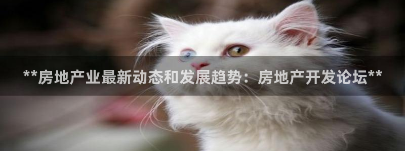 永利表行