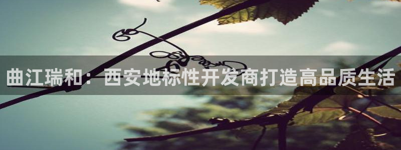 澳门永利 陈志玲